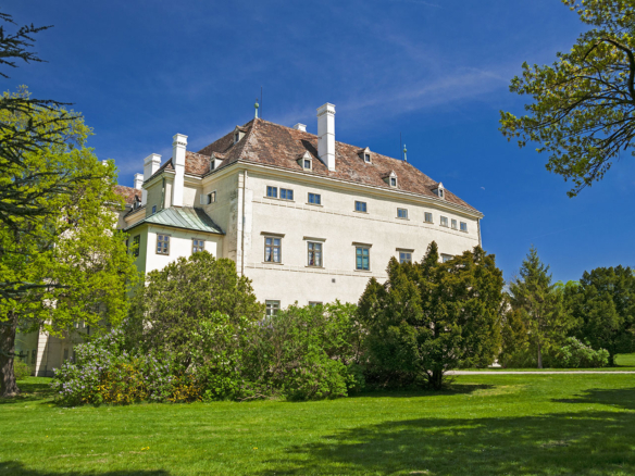 Historic Villa For Sale